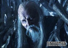 什么是三目乌鸦？！