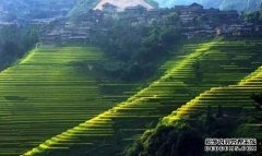 充满异国情调的烟雾弥漫的地方：它说