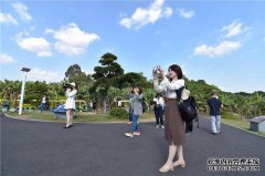 E道对``漳''显示有吸引力的2019年国家重点网络媒